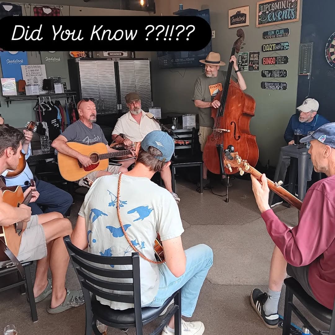 Seedstock Brewery Jam